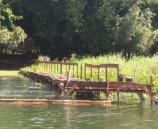 PONTE DE MADEIRA FRENTE A VEGETAÇÃO 