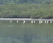 PAISAGEM