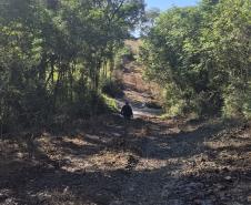 ESTRADA DE TERRA COM UM SERVIDOR EM MEIO A VEGETAÇÃO