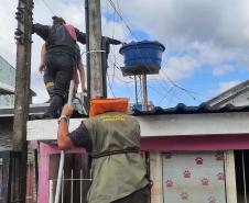 VOLUNTÁRIO EM AÇÃO