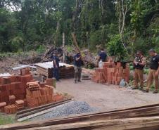 FISCAIS EM ÁREA DESMATADA