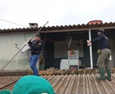 VOLUNTÁRIOS EM AÇÃO