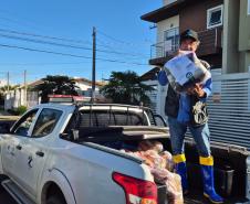 servidor voluntários em ação na entrega de donativos