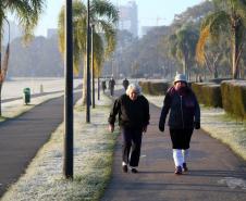IDOSAS ANDANDO EM MEIO A UM CENÁRIO DE INVERNO