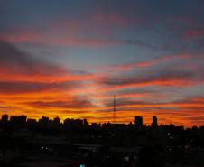 VEGETAÇÃO AO POR DO SOL