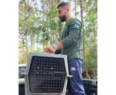 TÉCNICO DO IAT DEVEOLVENDO O ANIMAL À NATUREZA