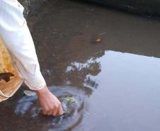 TECNICO DO IAT DEVOLVENDO PEIXE A AGUA