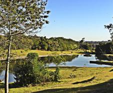 PAISAGEM DO JARDIM BOTÂNICO DE CURITIBA
