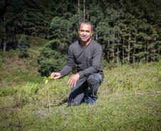Homem frente a um árvore plantada
