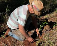 CENAS DE PLANTAÇÃO