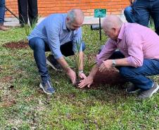 plantio simbólico