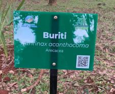placa da vegetação