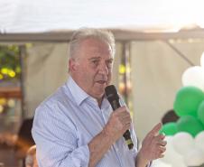 DIRETOR-PRESIDENTE DO IAT