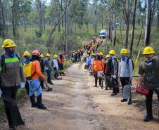 Foto de voluntários durante exercício de capacitação de brigadistas