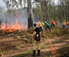 Foto de voluntários durante exercício de capacitação de brigadistas