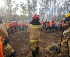 Foto de voluntários durante exercício de capacitação de brigadistas