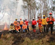Foto de voluntários durante exercício de capacitação de brigadistas