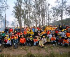 Foto de voluntários durante exercício de capacitação de brigadistas