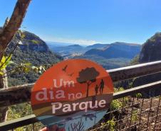 logo do programa mais paisagem ao fundo