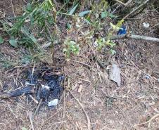 Descarte de dejetos e resíduos na natureza
