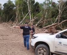 FISCAIS TRABALHANDO
