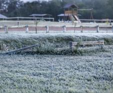 Foto de geada no Paraná