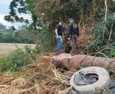 FISCAIS EM AMBIENTE DE TRABALHO 