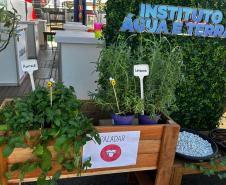 Foto de Jardim sensorial em Cianorte