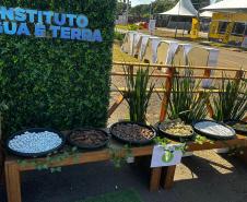 Foto de Jardim sensorial em Cianorte