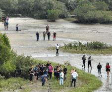 Foto de voluntários durante plantio de mudas