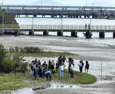 Foto de voluntários durante plantio de mudas