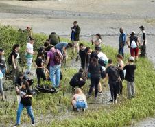 Foto de voluntários durante plantio de mudas
