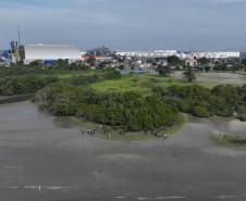 Foto de voluntários durante plantio de mudas