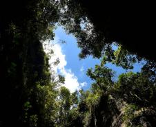 Foto do Parque Estadual do Monge