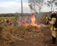 Foto de brigadistas durante capacitação