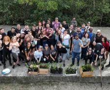 Foto de voluntários durante plantio de mudas