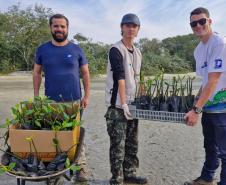 Foto de voluntários durante plantio de mudas