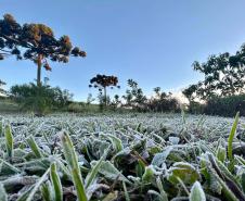 Foto de geada no Paraná