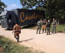 agentes em campo