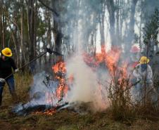 AGENTES CONTROLANDO FOGO