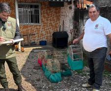 AGENTES COM AVES APREENDIDAS EM GAIOLAS