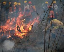 AGENTES CONTROLANDO FOGO