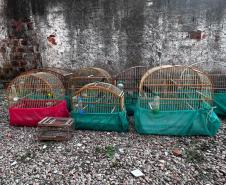 AVES APREENDIDAS EM GAIOLAS