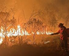 BOMBEIRO TENTANDO CONTER INCENDIO