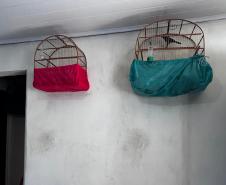 AVES APREENDIDAS EM GAIOLAS