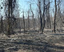 PÓS INCÊNDIO