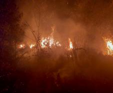 INCÊNDIO FLORESTAL NOTURNO