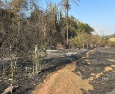 PÓS INCÊNDIO