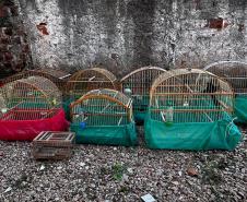 AVES APREENDIDAS EM GAIOLAS