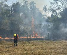 INCÊNDIO COM BOMBEIRO EM AÇÃO